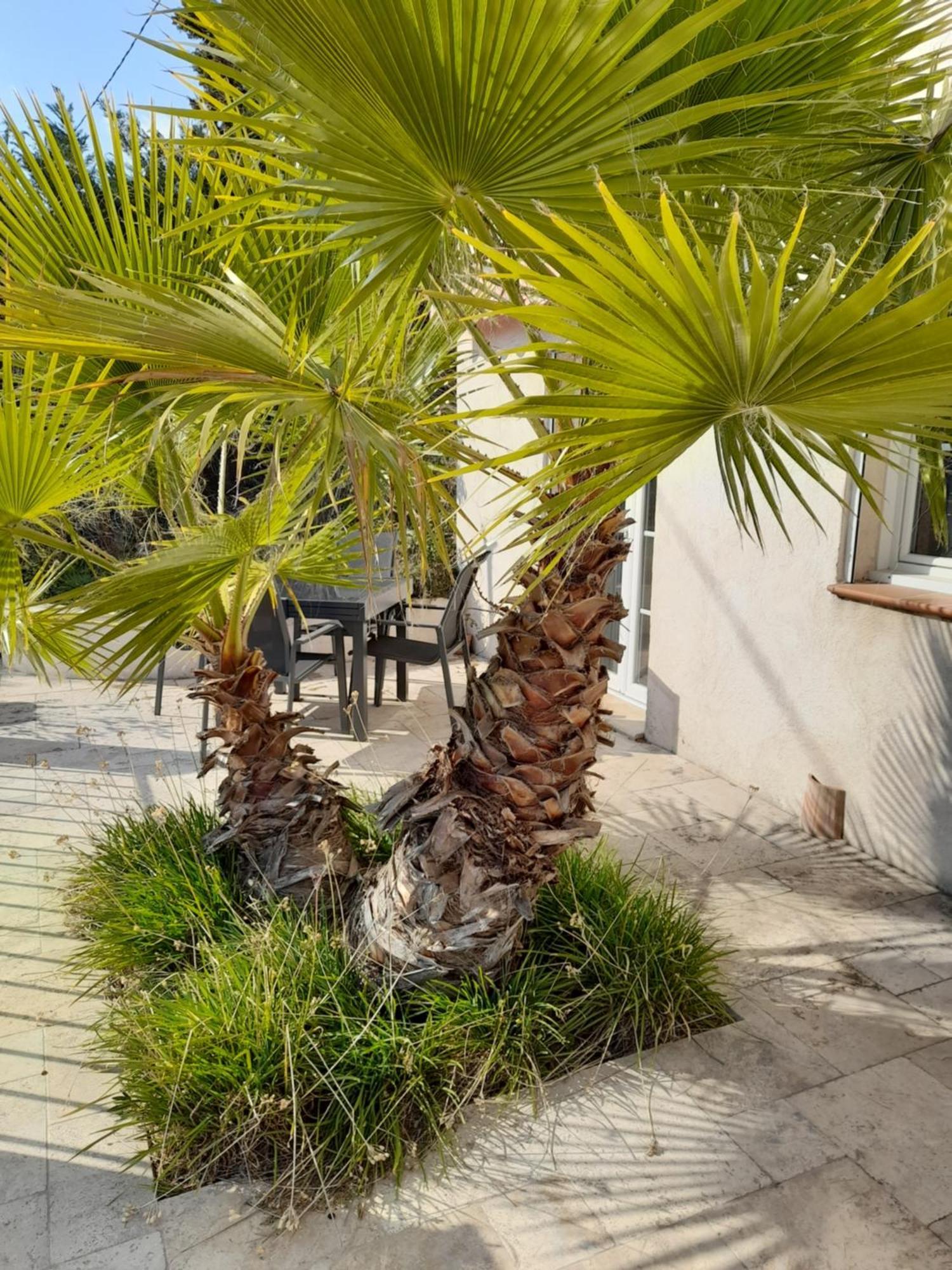 Villa Azur Lorgues Exteriör bild